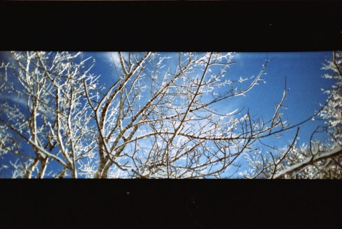 Senza nome-scandito-02