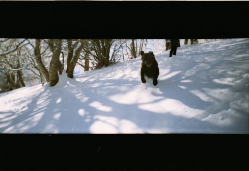 Senza nome-scandito-09