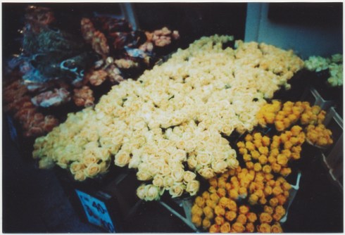 LC-W – Kodak Elitechrome 100 @200 – xpro