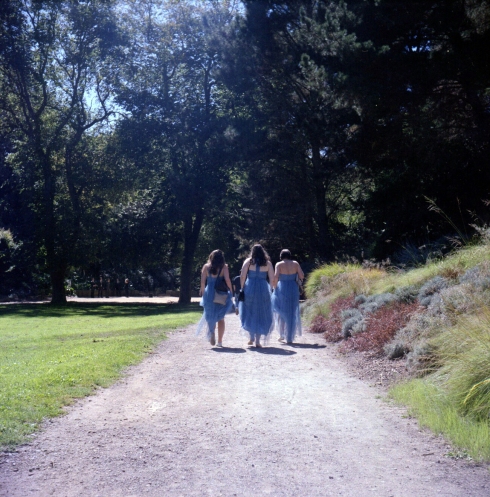 Kodak Portra 160 NC - Golden Gate Park - Damigelle a passeggio 
