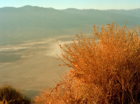 Zenza Bronica ETRSi - Zenzanon 75mm - Kodak Portra 160 NC