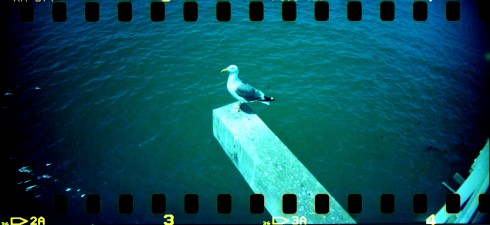 2015-04-10-0001_Fotor