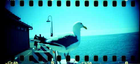 2015-04-10-0003_Fotor