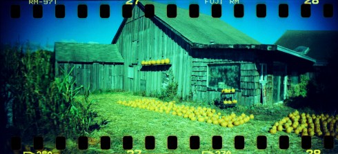 2015-04-10-0015_Fotor